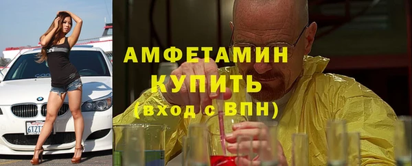 гашик Алексин
