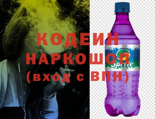 гашик Алексин