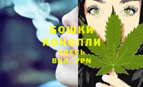 твердый Абаза