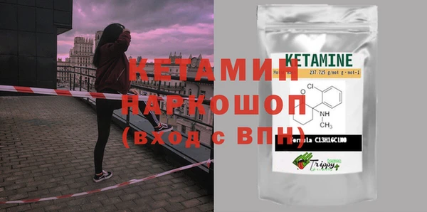 гашик Алексин