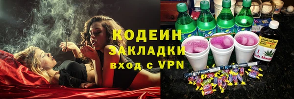 гашик Алексин