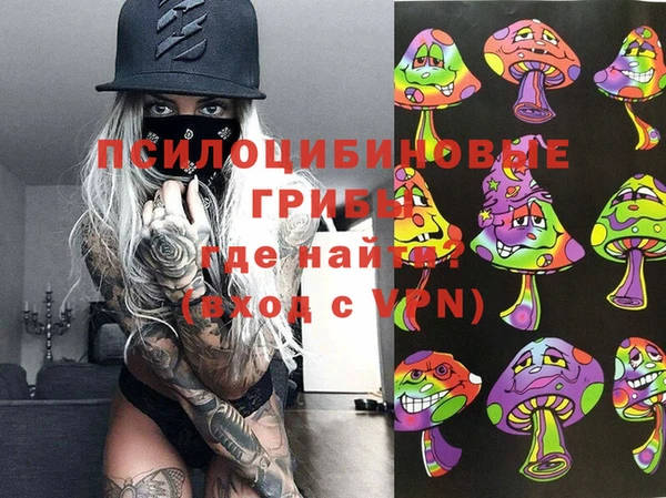 твердый Абаза